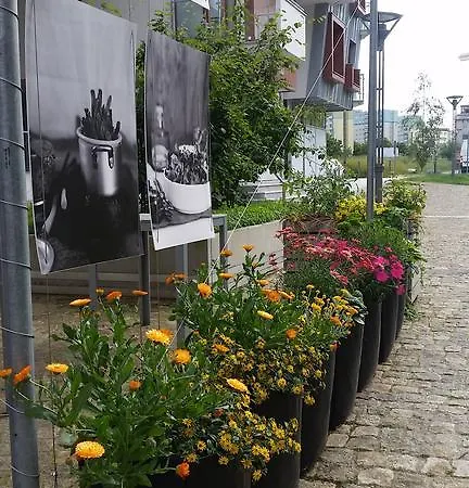 Apartament Hanza *