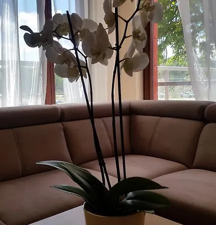 Apartament Hanza